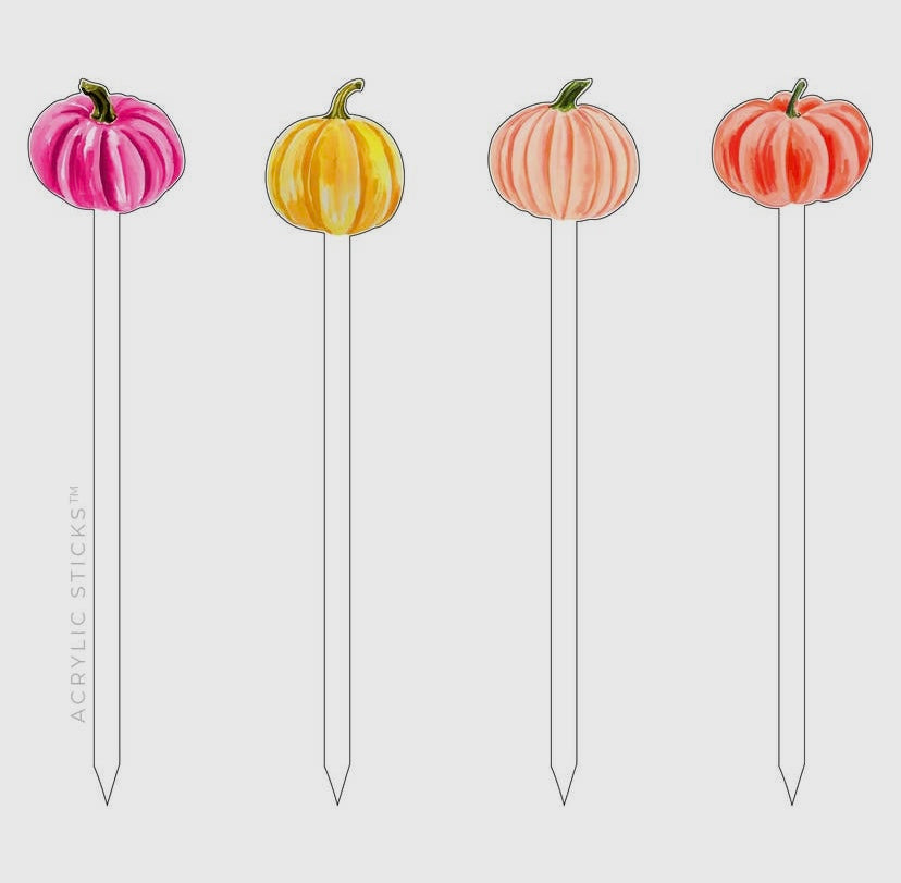 Multicolored Gourds Acrylic Skewers