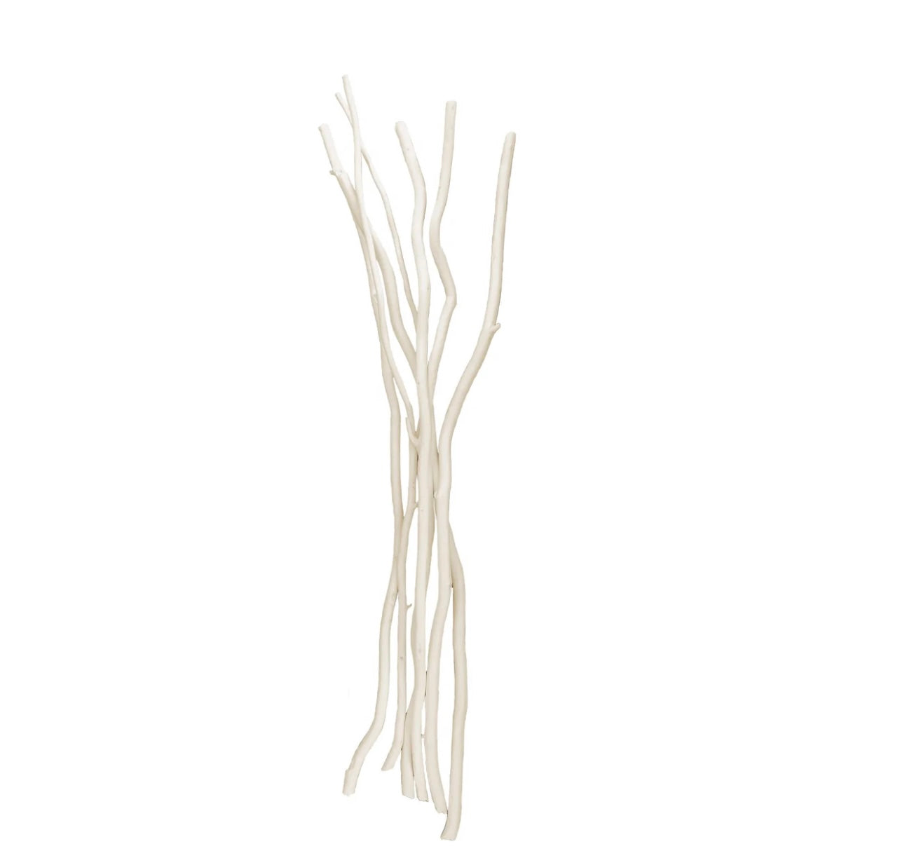 Diffuser Reeds