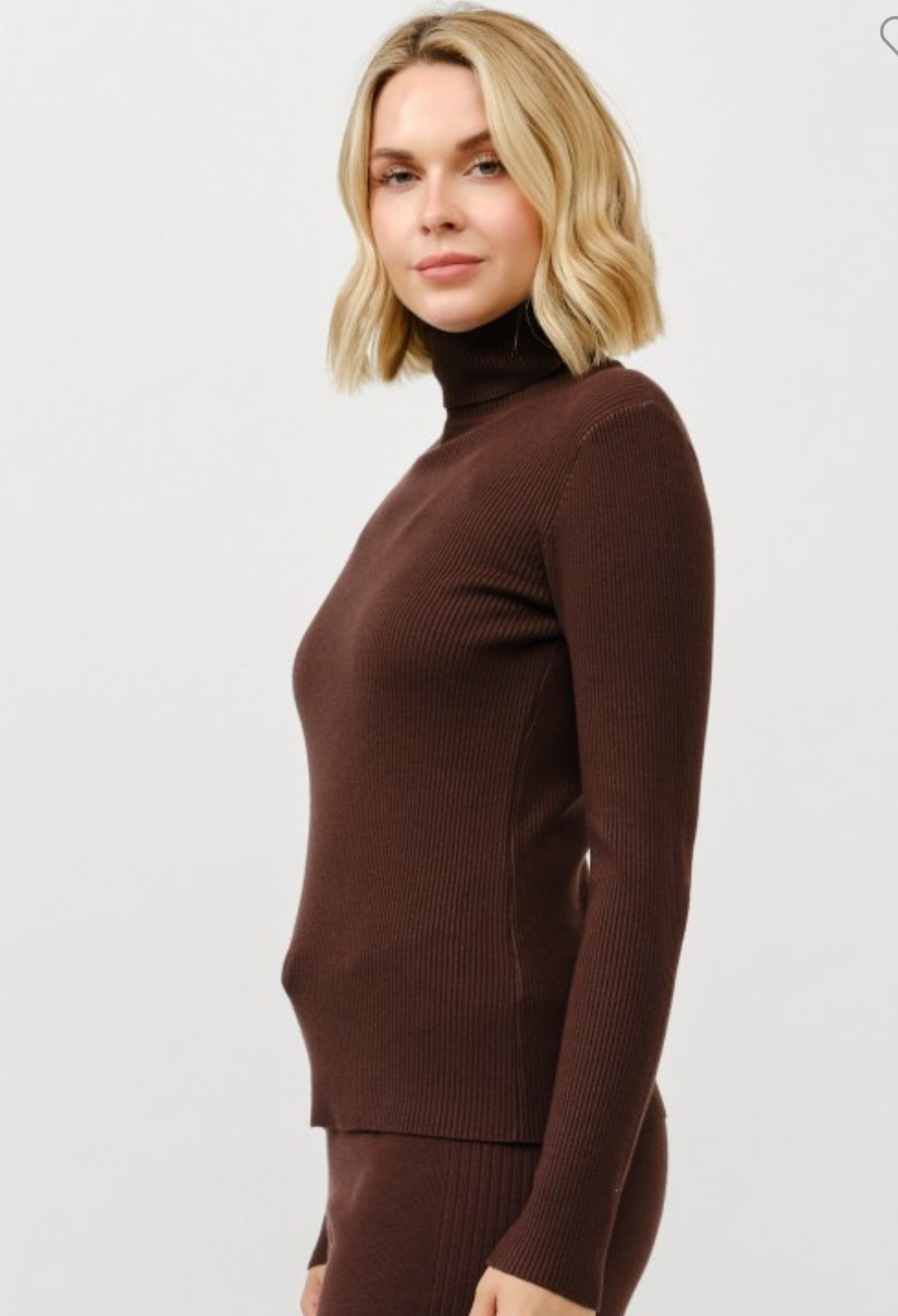 Classic ribbed turtleneck