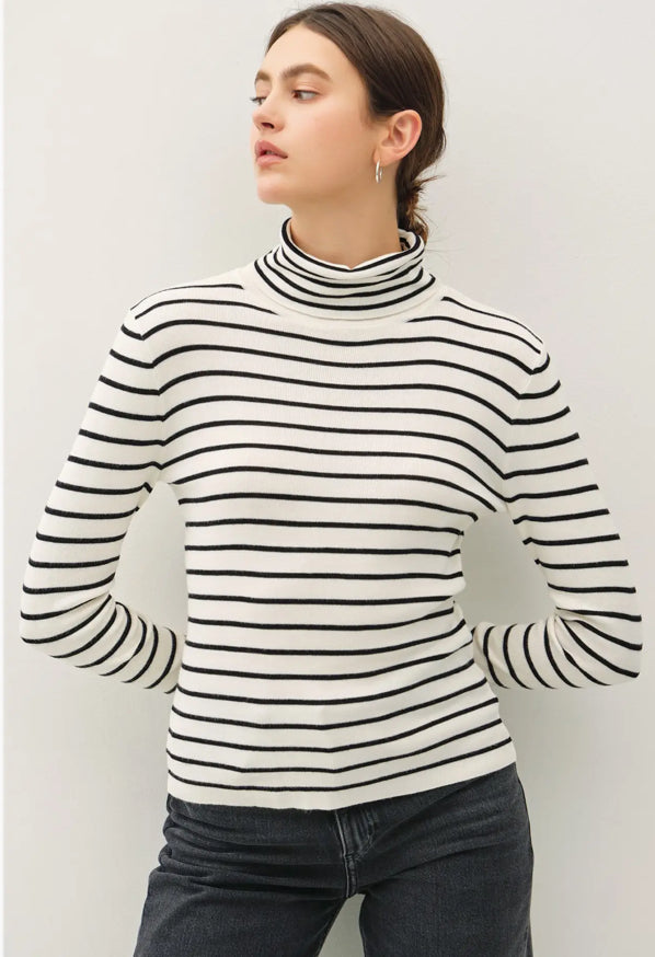 Striped Turtle Neck Sweater