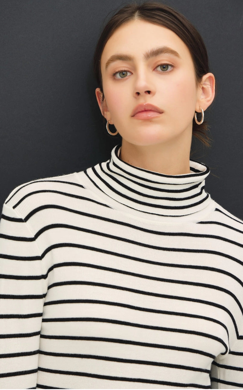 Striped Turtle Neck Sweater