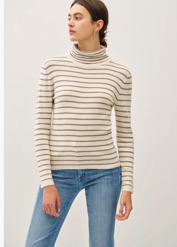 Striped Turtle Neck Sweater