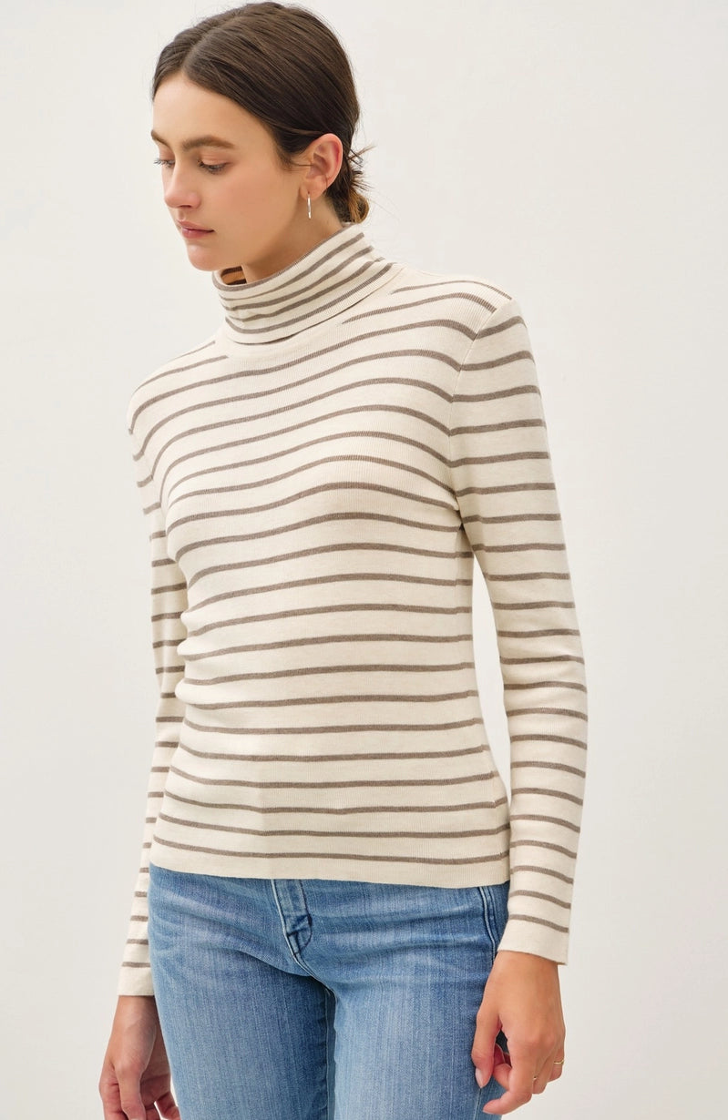 Striped Turtle Neck Sweater