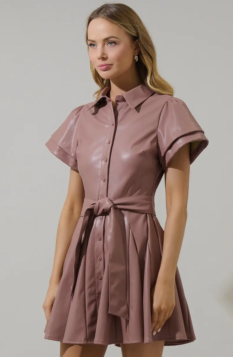 Anisa Leather Pleated Mini Dress