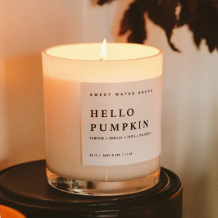 Pumpkin Candle  11 oz Soy