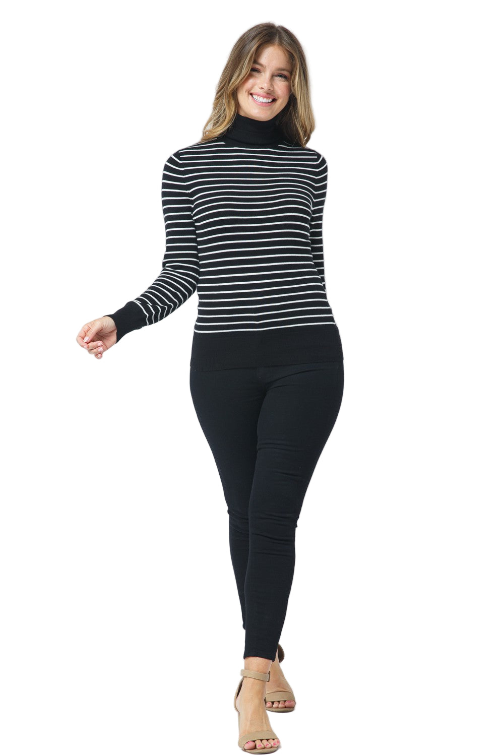 Turtle Neck Stripe Pull Over